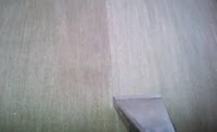Newcastle Carpet Cleaning Company 349341 Image 3